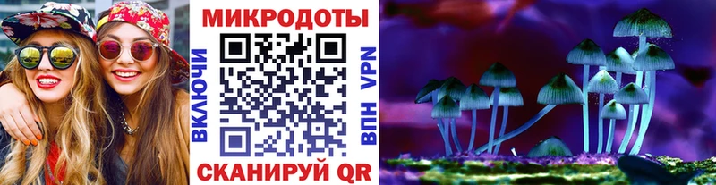 Купить закладки  Весьегонск  Галлюциногенные грибы Psilocybine cubensis 