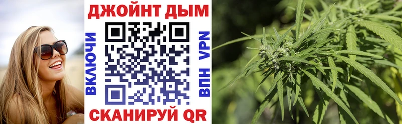 Купить где  Весьегонск  Бошки Шишки ГИДРОПОН 